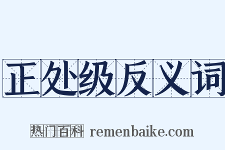 正处级反义词是什么意思的图片